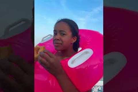 Seagull Snatches Her Doughnut