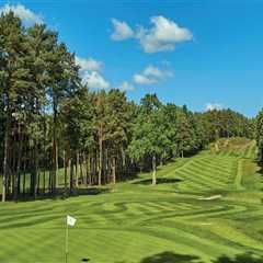 Exploring the Limit on Strokes at Golf Events in Salt Lake County, Utah