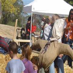 The Benefits of Volunteering at Crafts Festivals in Danville, CA