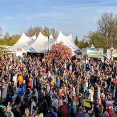 The Delicious World of Beer Festivals in Erie County, NY