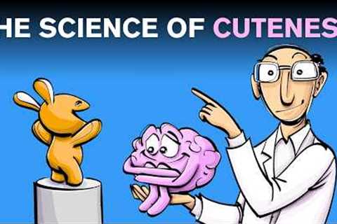 Cuteness: Can Kittens Make You Smarter?