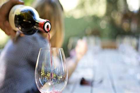 The Ultimate Guide to VIP and Special Access at Wine Festivals in Los Angeles County, CA