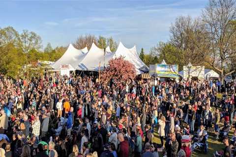 The Delicious World of Beer Festivals in Erie County, NY