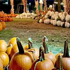 The Ultimate Guide to Fall Festivals in Tarrant County, Texas