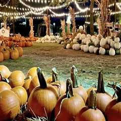 Discover the Best Family-Friendly Fall Festivals in Tarrant County, Texas