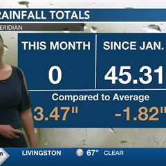 10/28- Fog, rain, and warmth are in the forecast this Halloween Week