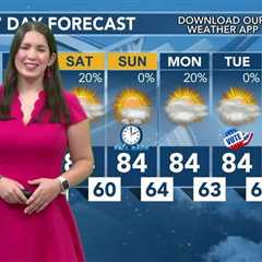 Today's Weather – Tori Alvarado – October 31st,2024