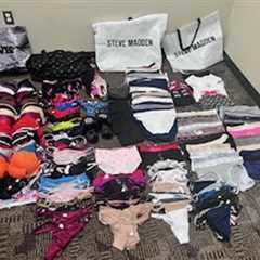 4 arrested, accused of stealing gun, thousands of pieces of lingerie valued at $57K