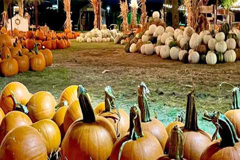 The Ultimate Guide to Fall Festivals in Tarrant County, Texas