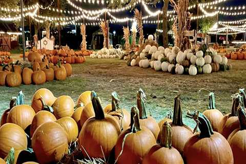 Discover the Best Family-Friendly Fall Festivals in Tarrant County, Texas