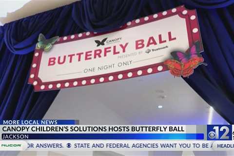 Canopy Children's Solutions hosts Butterfly Ball