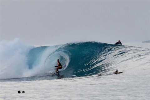 Surfer Giulia Manfrini dies in freak swordfish accident while catching wave off Indonesia’s West..