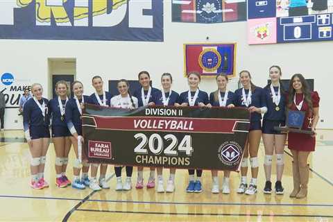 Lamar wins third consecutive volleyball State Championship