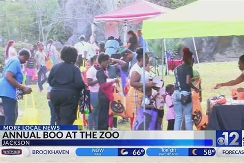 Jackson Zoo hosts 2024 Boo at the Zoo