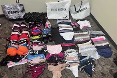 4 arrested, accused of stealing gun, thousands of pieces of lingerie valued at $57K