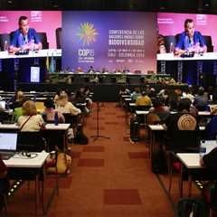 Fossil fuel transition pledge left out of COP16 draft agreement