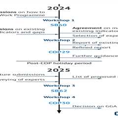 Guest post: How to track progress towards the ‘global goal on adaptation’?