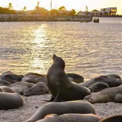 Ecuador’s Coastal Ecosystems Have Rights, Constitutional Court Rules