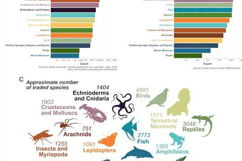 Nearly 30,000 Unregulated Wild Animal Species Traded in the U.S., Researchers Find