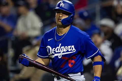 Dodgers Trade Diego Cartaya to Twins for DSL Pitching Prospect