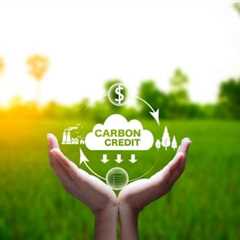 How Carbon Credit Projects Contribute To Sustainability and Profitability