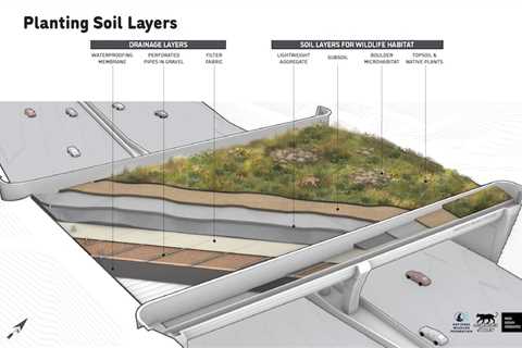 World’s Largest Wildlife Crossing Gets First Layers of Soil Across California Freeway