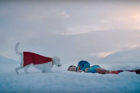 David Corenswet’s Superman Gets Overpowered by His Dog