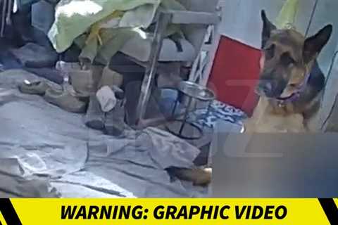 Police Physique Cam Video Shows Gene Hackman’s Canine Defense
