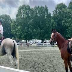 The Art of Judging Horse Shows in Currituck County, North Carolina