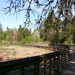 Cycling Through the Beauty of Washington County, Oregon