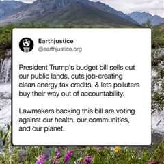 Legislating the Planet’s Collapse