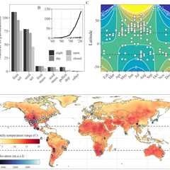 Pollination ‘Magic’ Happens at Night Too, First-of-Its-Kind Study Finds
