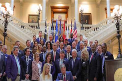 The Crucial Role of Public Leaders in Emergency Situations in Hall County, Georgia