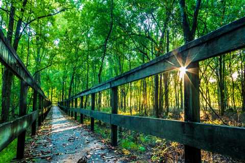 Celebrating Southeastern Mississippi: A Guide for Businesses and Organizations