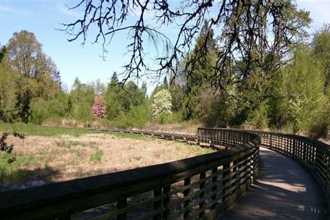 Cycling Through the Beauty of Washington County, Oregon
