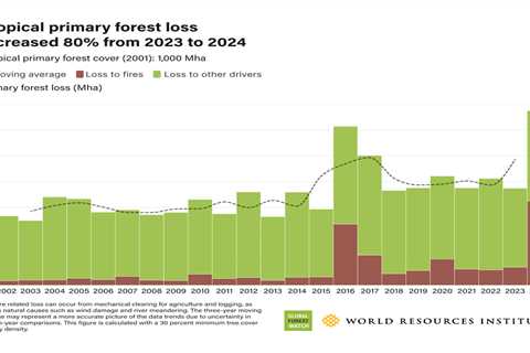 Global forest loss hits “frightening” record high with climate-fuelled fires