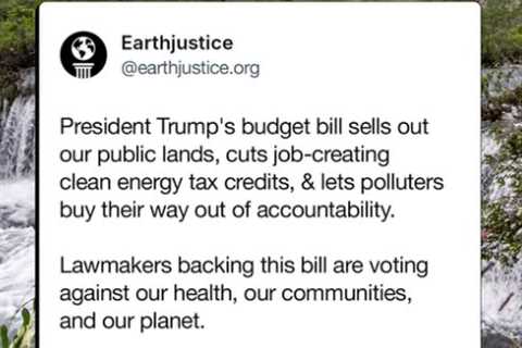 Legislating the Planet’s Collapse