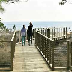 The Ultimate Guide to Booking Accommodations for Annual Holidays in Southeast SC