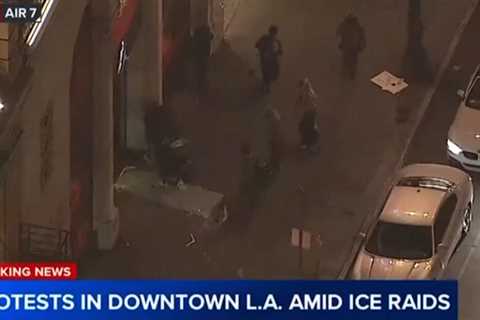 Anti-ICE Rioters Smash Windows of LAPD Headquarters, Loot Businesses, Set Fires (LIVE VIDEO)