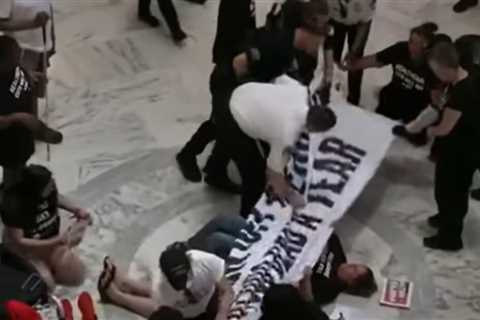 Leftists Invaded the Capitol to Protest the ‘Big Beautiful Bill’ – Will They Get the J6 Treatment?..