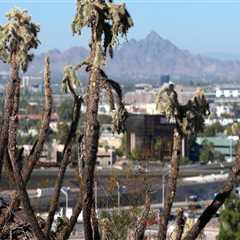 Promoting Blindness Awareness in Maricopa County, Arizona