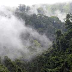 What Mountains Provide and Why They Need Protection