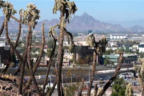 Promoting Blindness Awareness in Maricopa County, Arizona