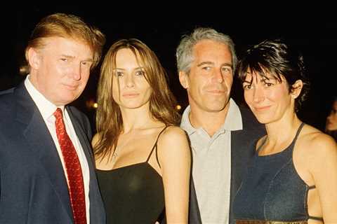 Trump and Other Celebrities Featured in Hollywood Life