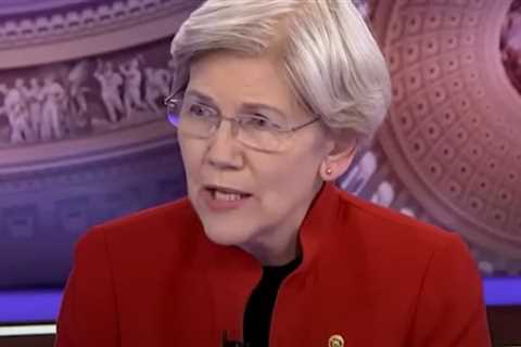 CNBC Hosts Ridicule Elizabeth Warren’s Fearmongering Over the Trump Economy (VIDEO)