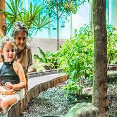 The Enriching World of Community Events in Central Florida