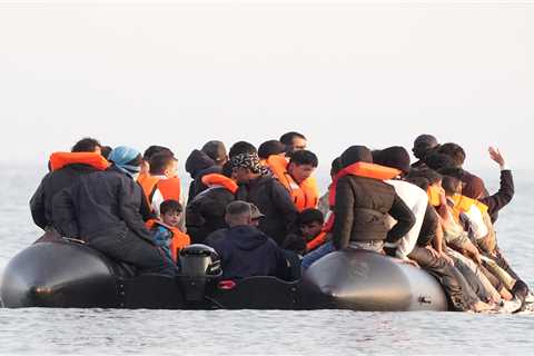 Analyzing the Complexities of NHS Support for Asylum Seekers