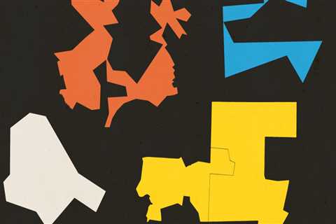 The Impact of Gerrymandering on Campaigns in Central Virginia: An Expert's Perspective