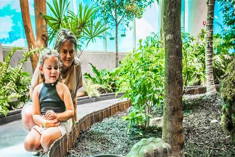 The Enriching World of Community Events in Central Florida