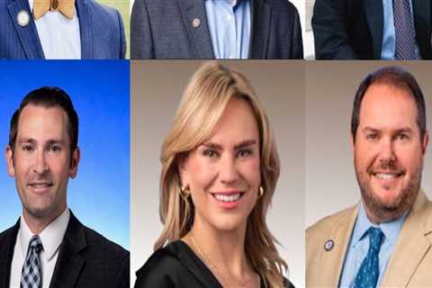 The Impact of Third-Party Candidates on Local Elections in Nashville, TN: An Expert's Perspective